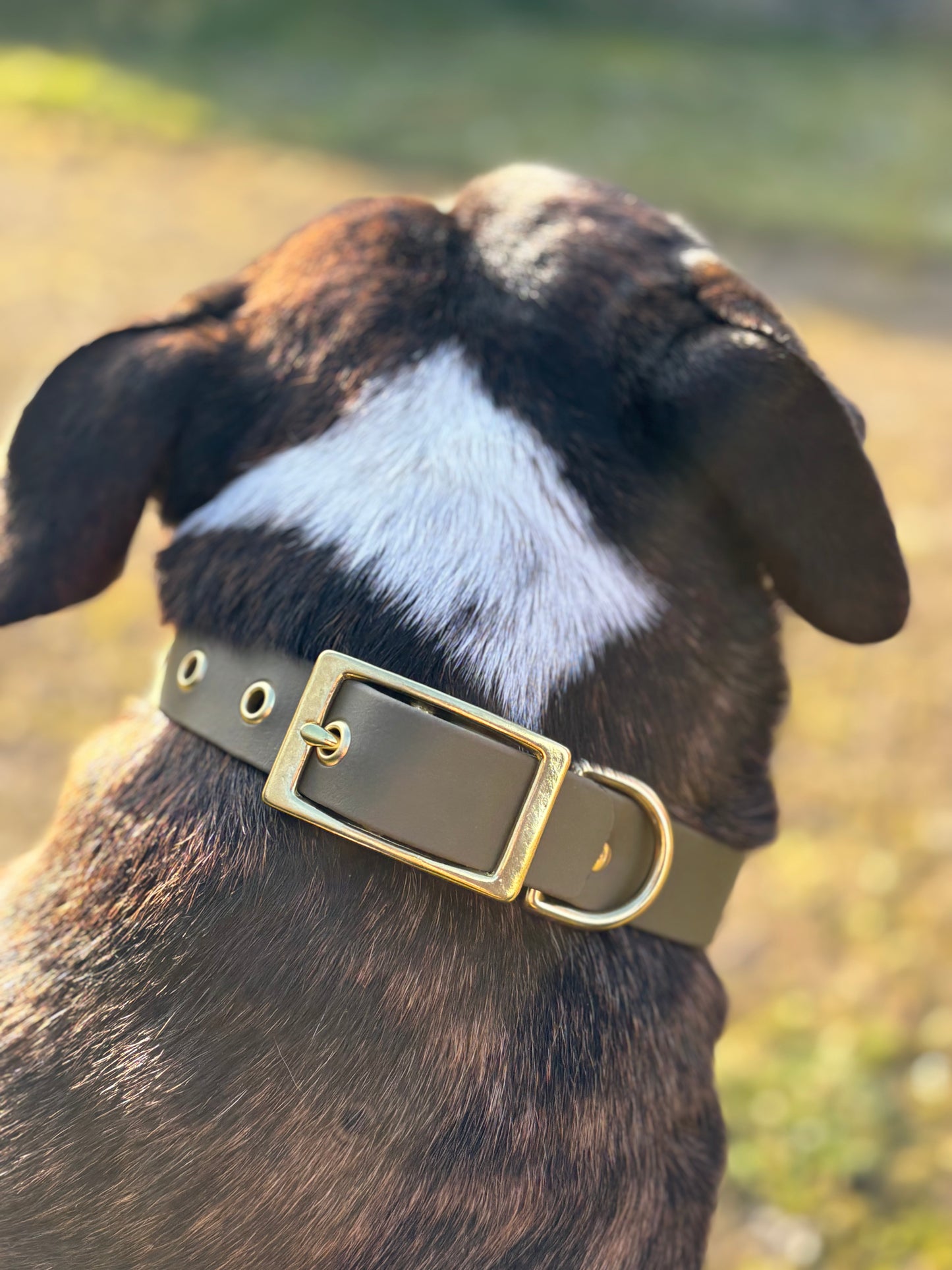 Collier Olive