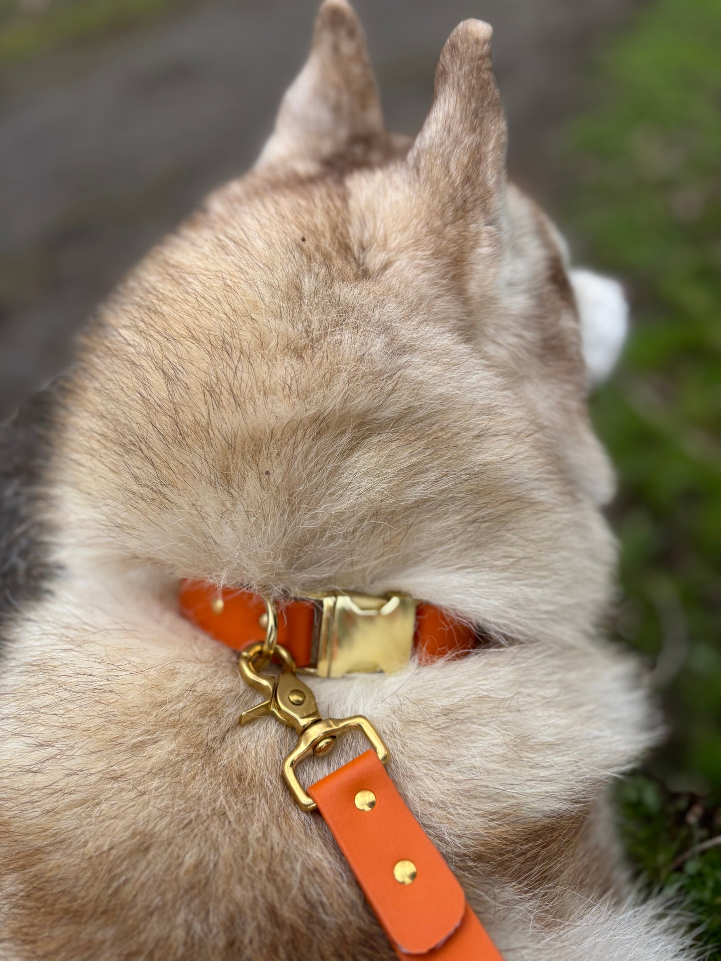 Collier à clip Burn Orange