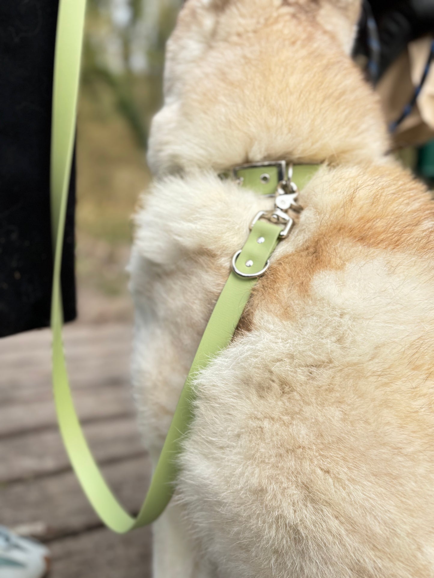 Laisse 4 positions Guacamole