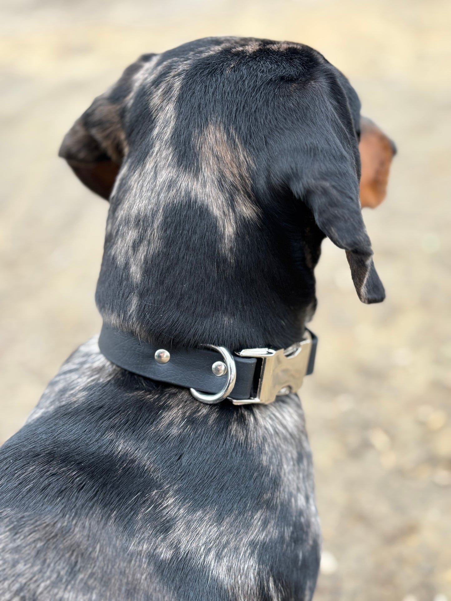 Collier à clip Noir