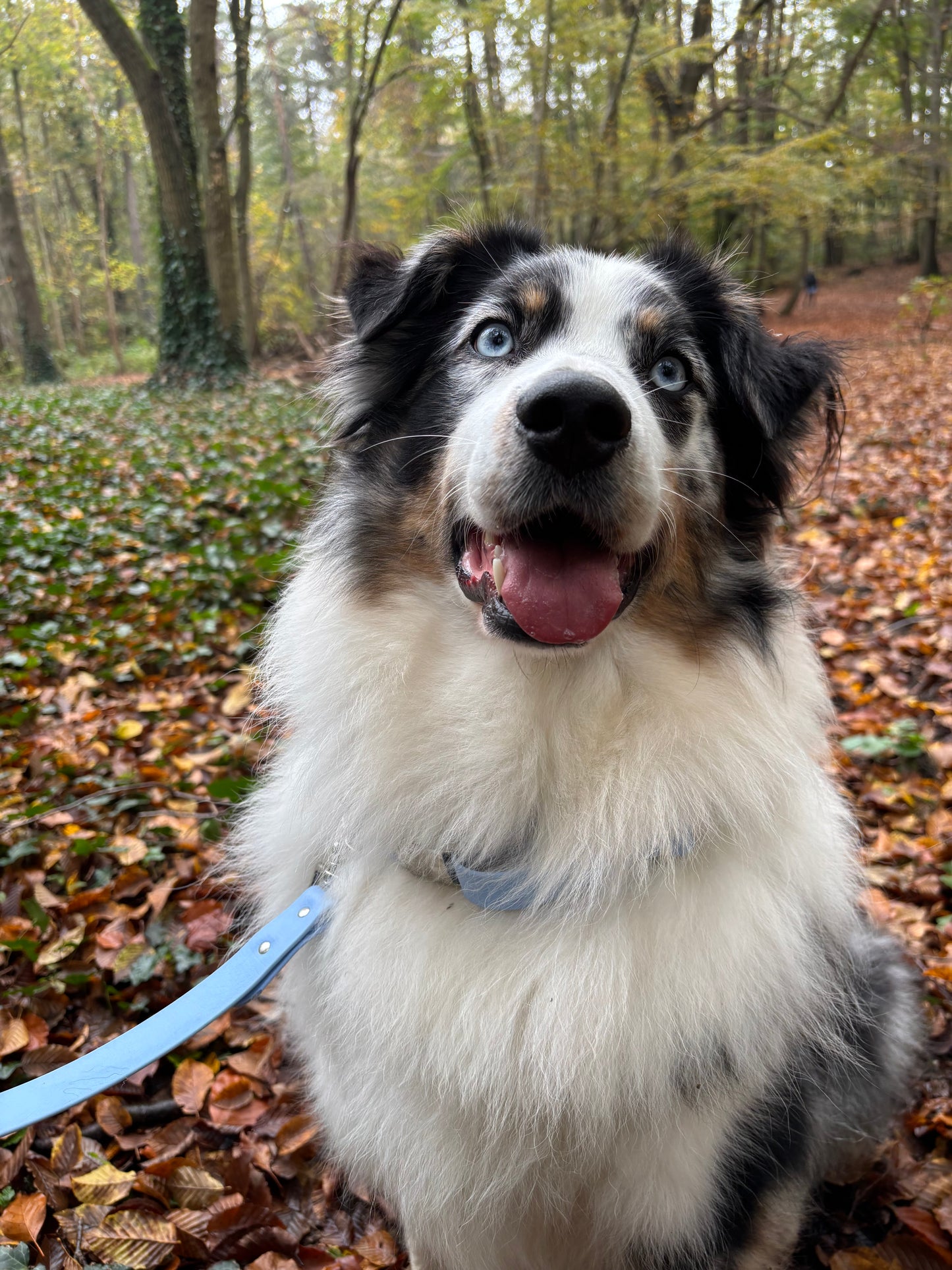 Collier à clip Bleu Polaire