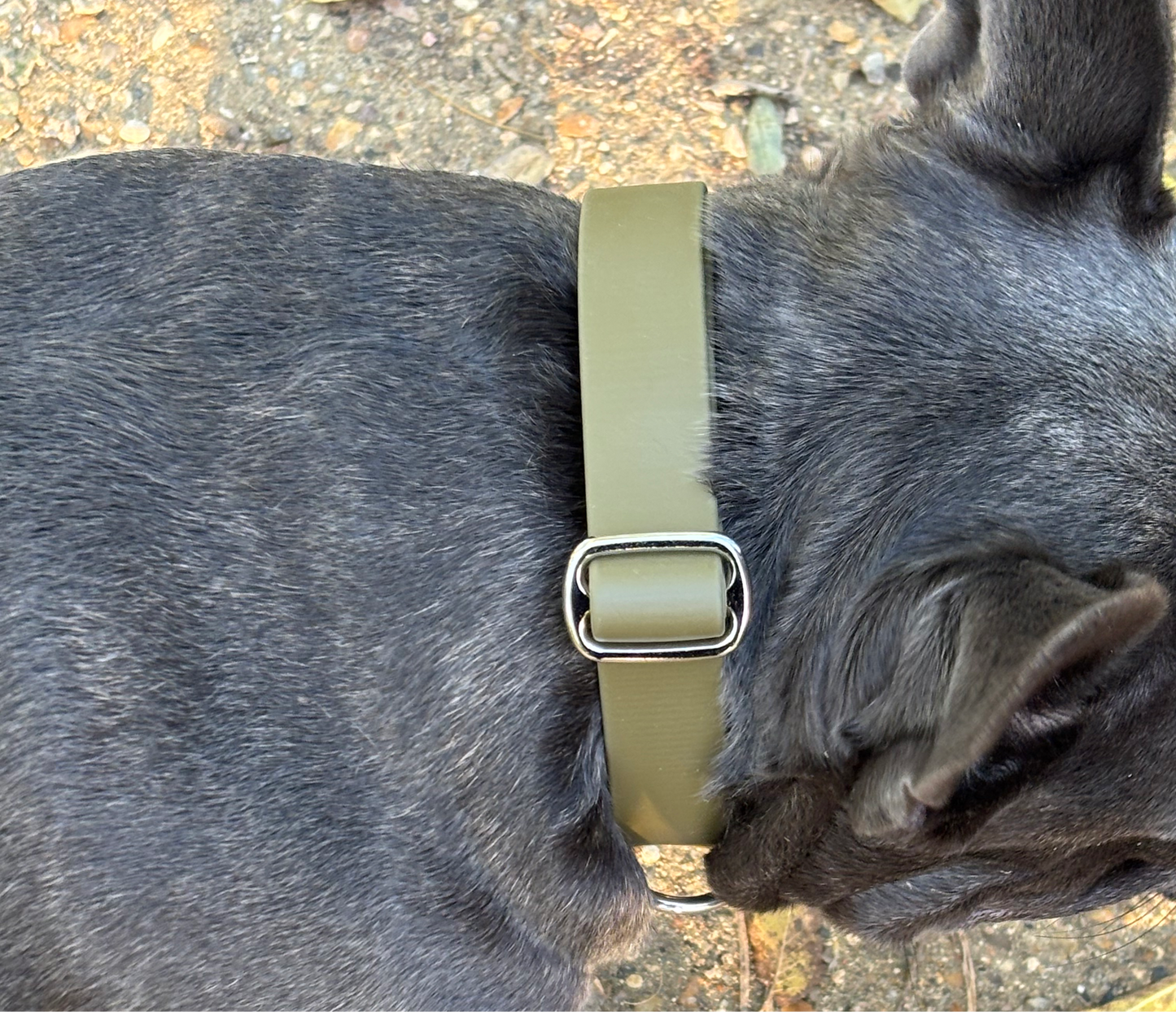 Collier à clip Olive