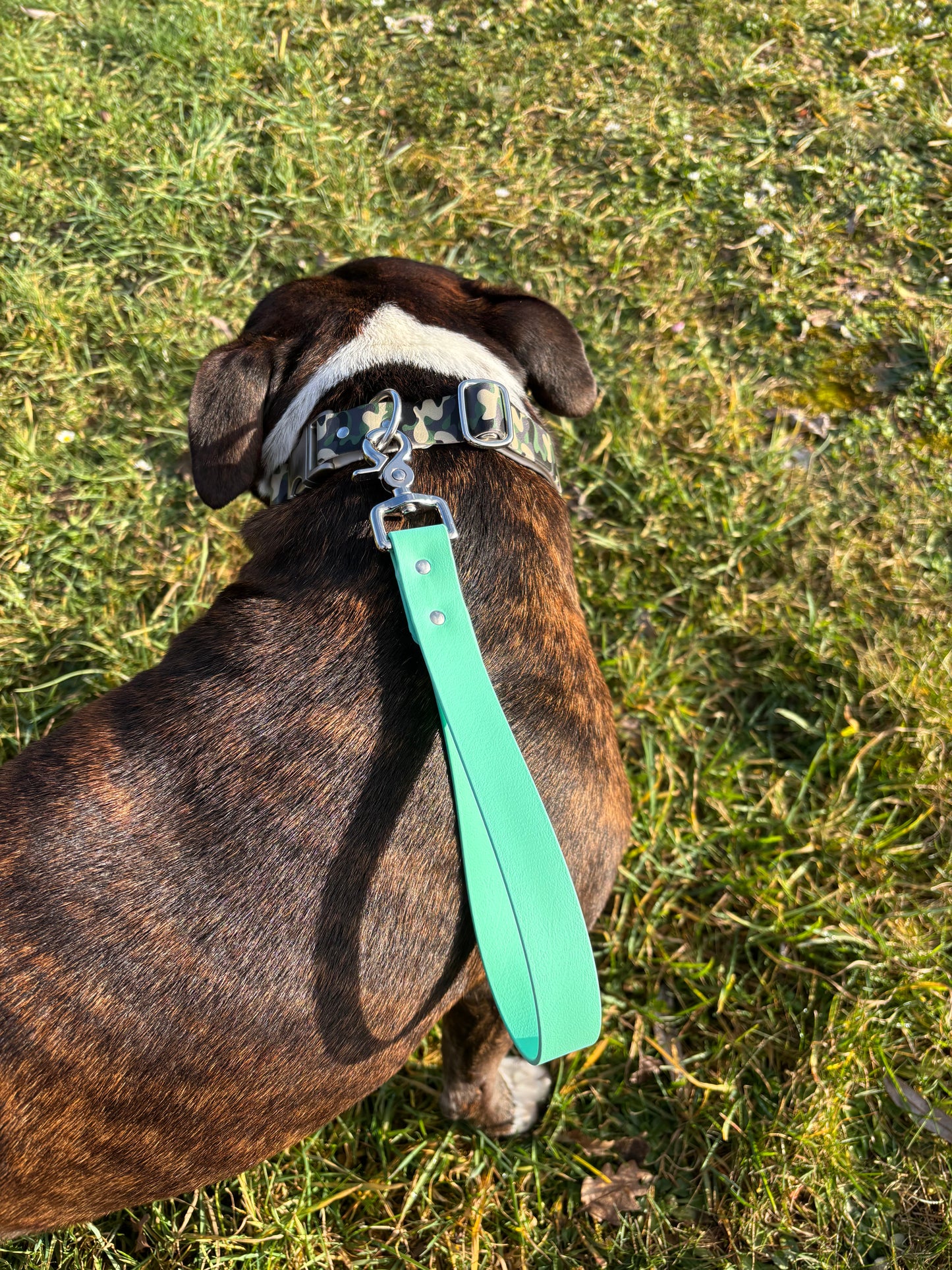 Poignée de laisse Caraïbe