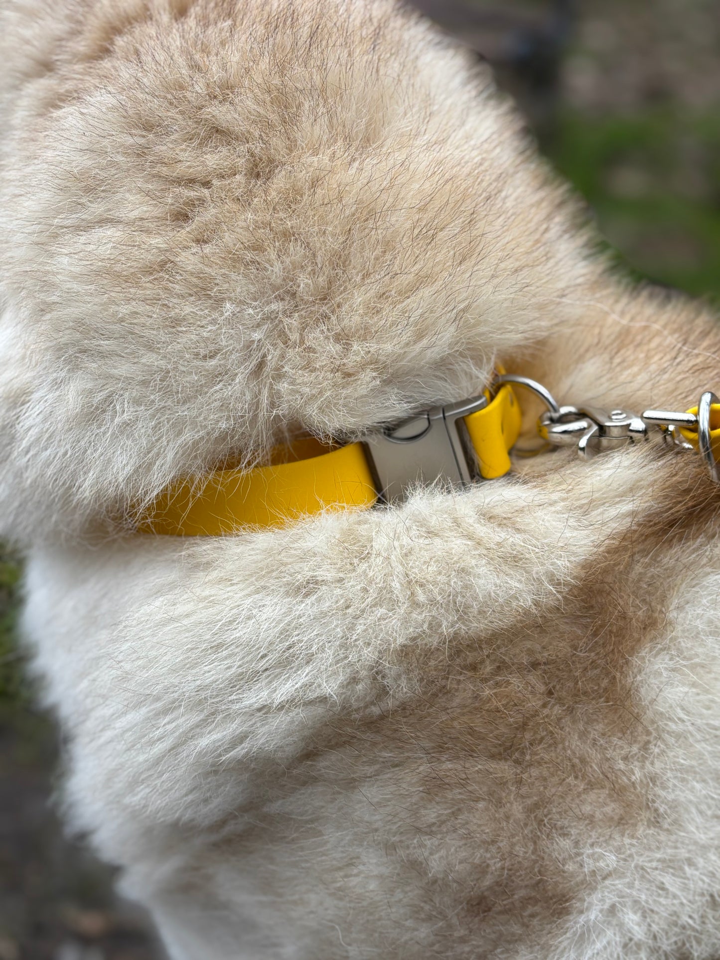 Collier à clip Jaune