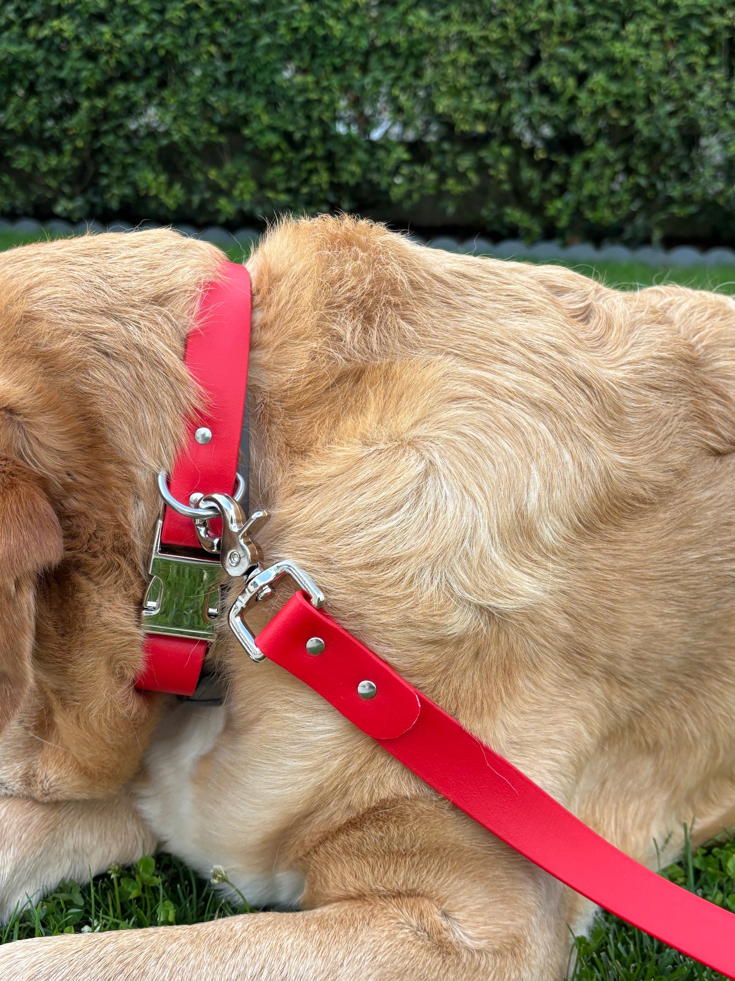 Collier à clip Rouge