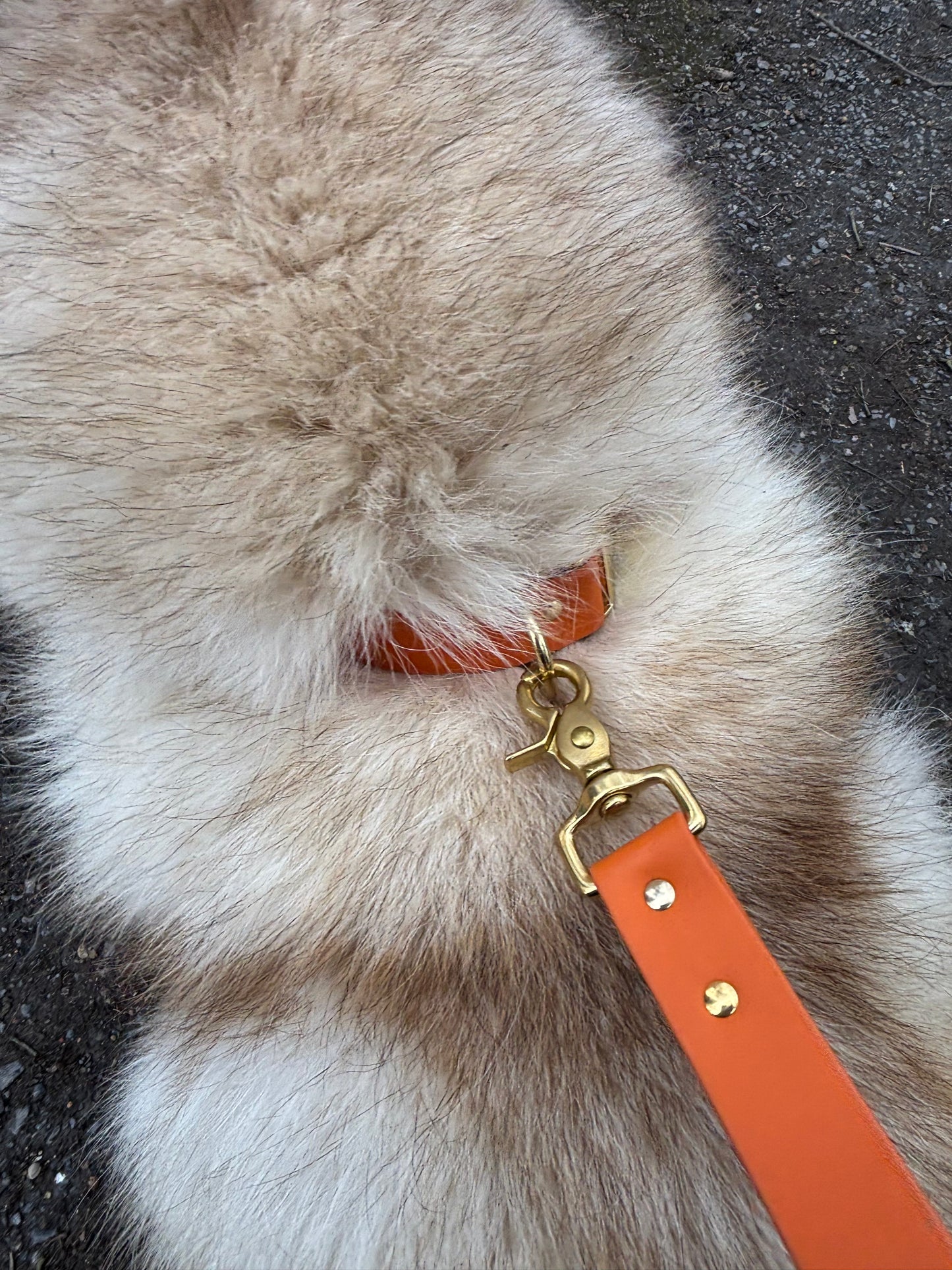 Laisse 4 Positions Burn Orange