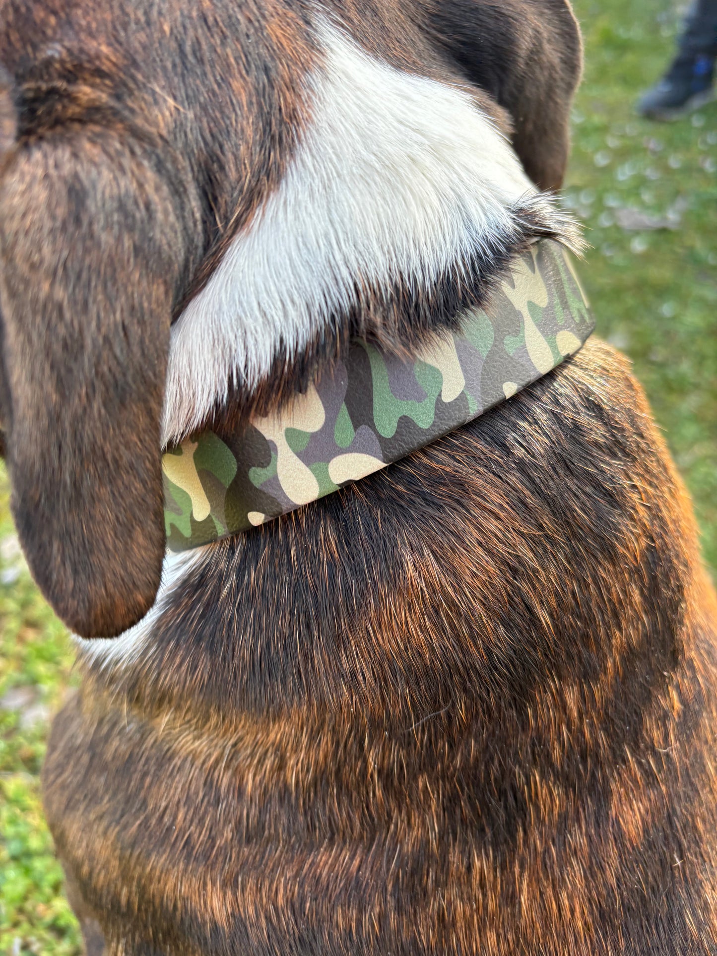 Collier à clip Camo