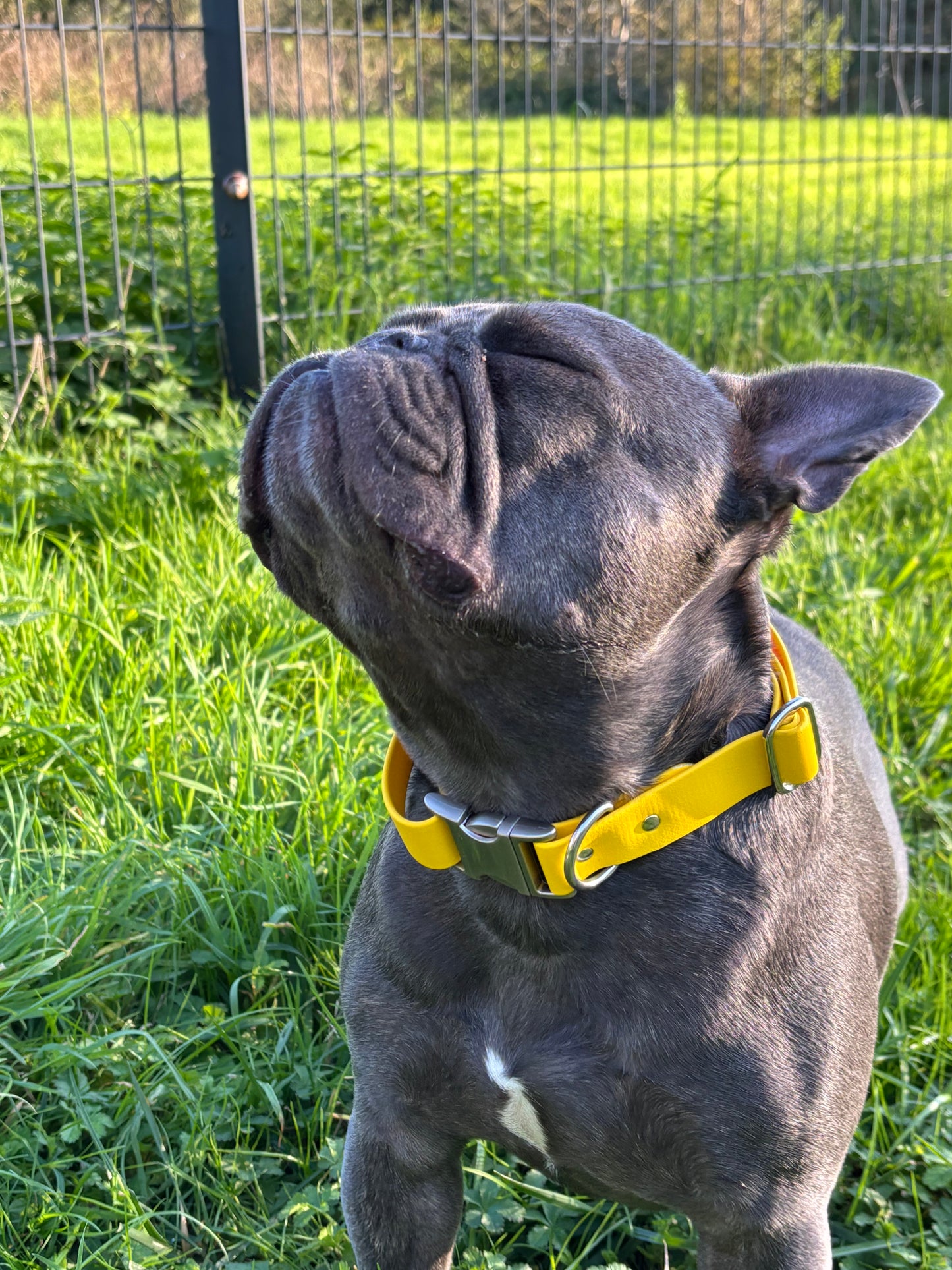 Collier Jaune