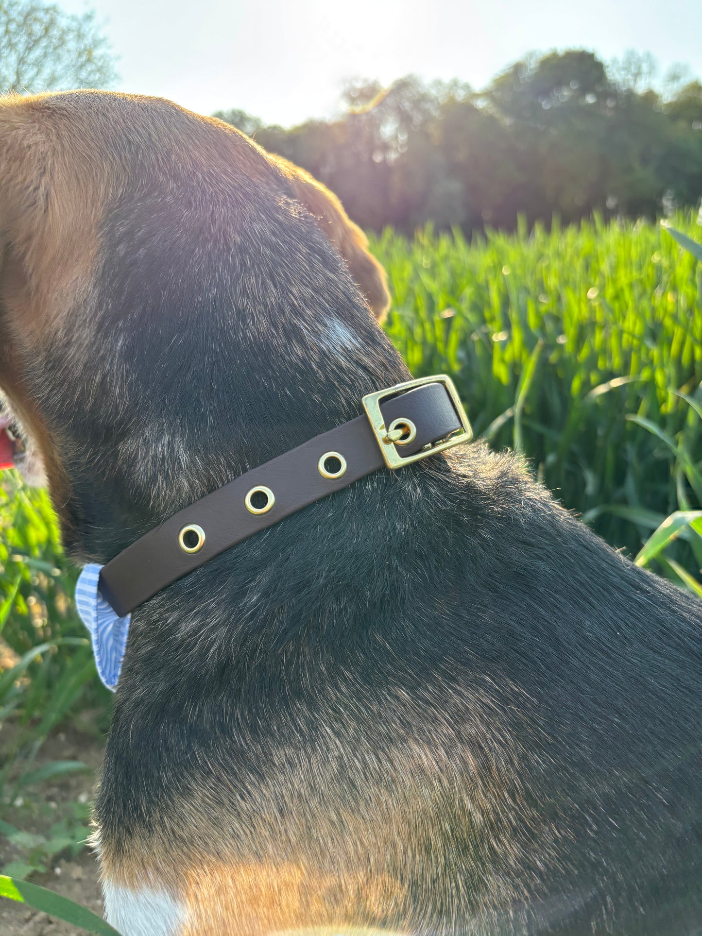 Collier Marron Foncé