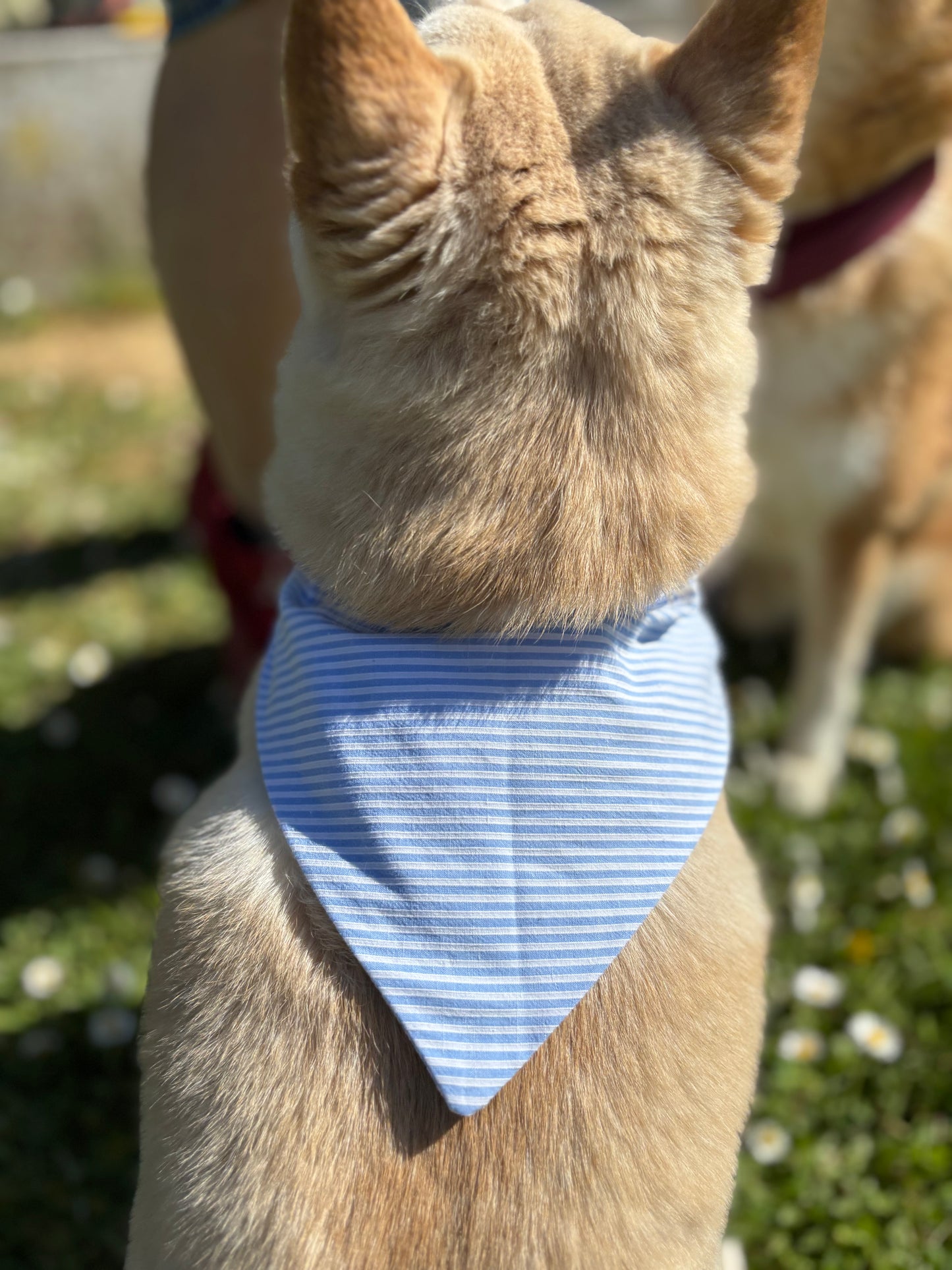 Bandana Matelot