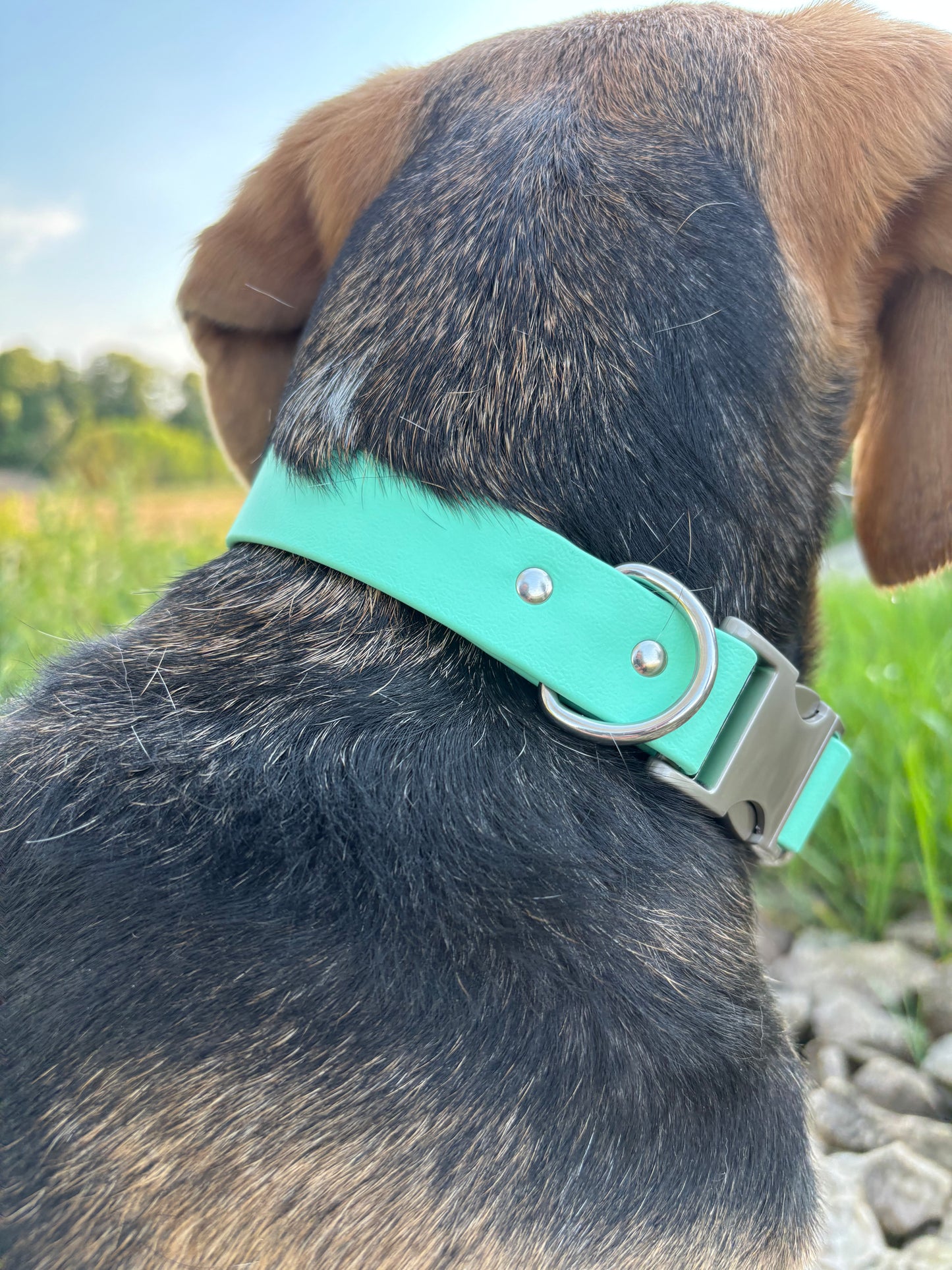 Collier à clip Caraïbe
