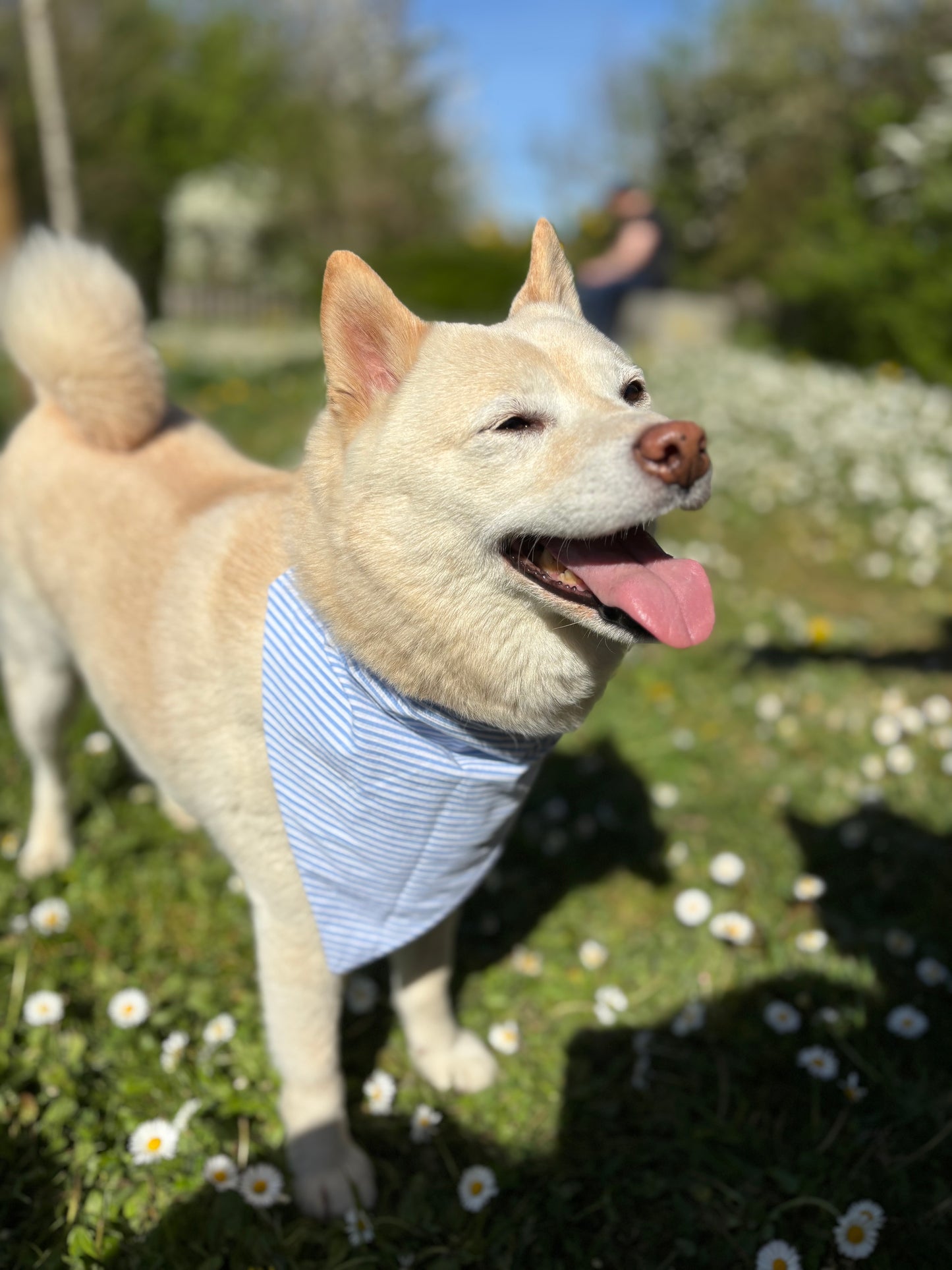 Bandana Matelot